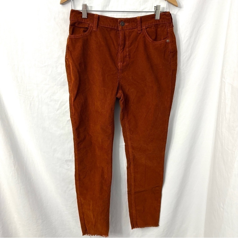 Free People Rust Skinny Pants